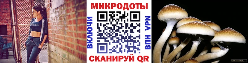 Псилоцибиновые грибы мухоморы  Купить  Яровое 